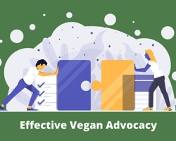 Effective Vegan Advocacy - CEVA training (Praha)