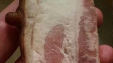 Prasečí bradavka na slanině vyvolala vlnu zhnusení