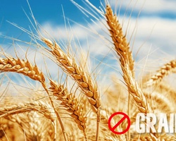 Nové nálezy staví představy o paleo stravě na hlavu