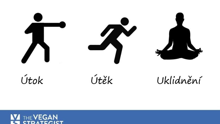 Komunikace na facebooku: útok, útěk nebo uklidnění? 
