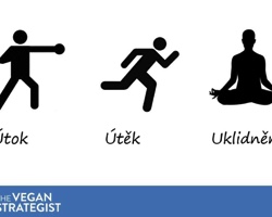 Komunikace na facebooku: útok, útěk nebo uklidnění? 