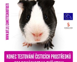 Zameťte s krutostí – nová kampaň Svobody zvířat za zákaz testování prostředků pro domácnost na zvířatech