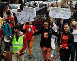 Většina současných vegetariánů se k masu nevrátí