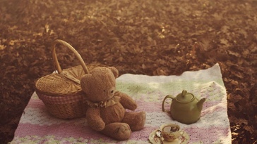 Veganská večeře (Havířov)