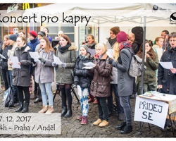 Koncert pro kapry (Praha)