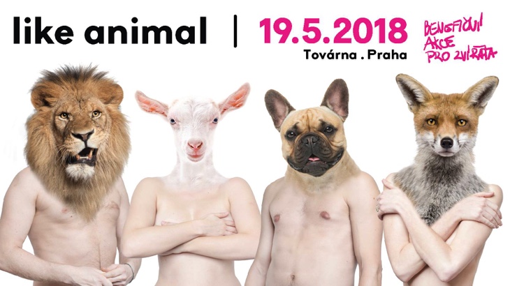 Like Animal (Praha)