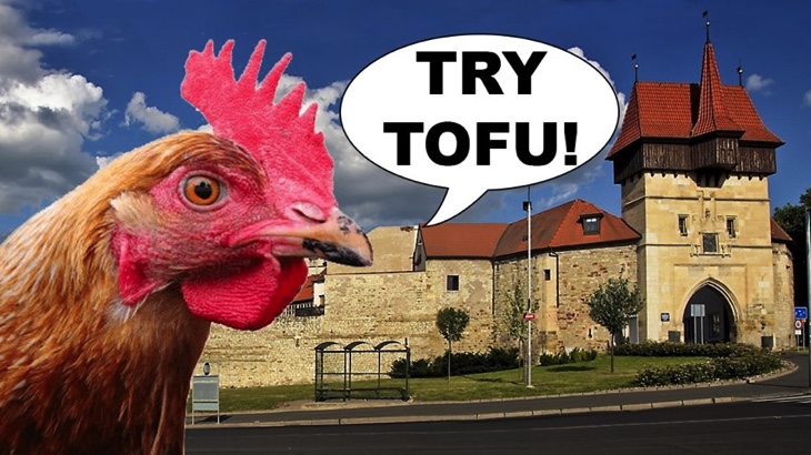 VEGAN Ochutnávky v LOUNECH