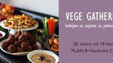 VEGE GATHERING 16 (Ostrava)