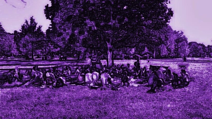  Veganský piknik ve Stromovce (Praha)
