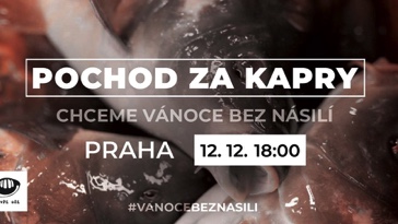 Pochod za kapry: Praha