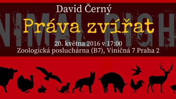 David Černý: Práva zvířat (Praha)