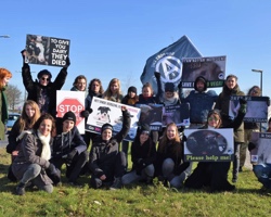 Animal Rights Activist Workshop Prague