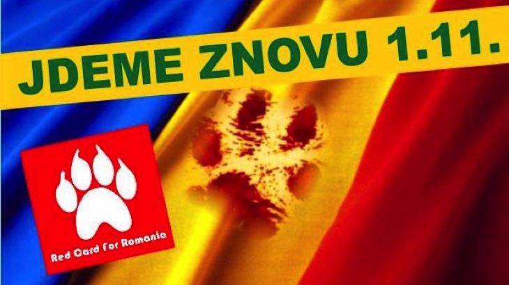 Protest proti zabíjení psů v Rumunsku