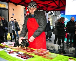 Prodej vánočních psů (Praha)