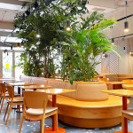 dhaba-beas-slovansky-dum (3)