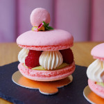 share-sweet-bar (17)