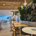loving-hut-metropole-zlicin (1)