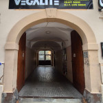 vegalite-brno (21)