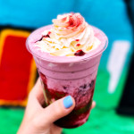 vegan-ice-cream-and-coffee-praha (13)