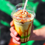 vegan-ice-cream-and-coffee-praha (14)